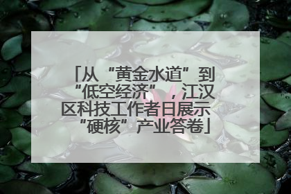 从“黄金水道”到“低空经济”，江汉区科技工作者日展示“硬核”产业答卷
