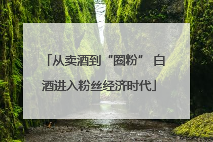 从卖酒到“圈粉” 白酒进入粉丝经济时代