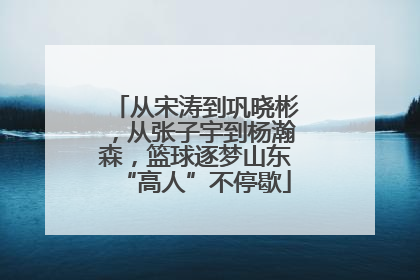从宋涛到巩晓彬，从张子宇到杨瀚森，篮球逐梦山东“高人”不停歇