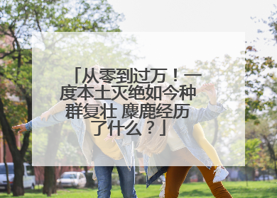 从零到过万！一度本土灭绝如今种群复壮 麋鹿经历了什么？