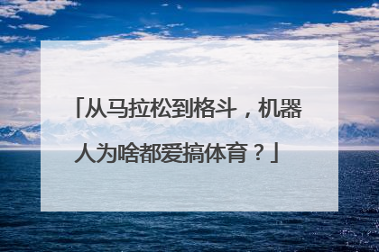 从马拉松到格斗，机器人为啥都爱搞体育？