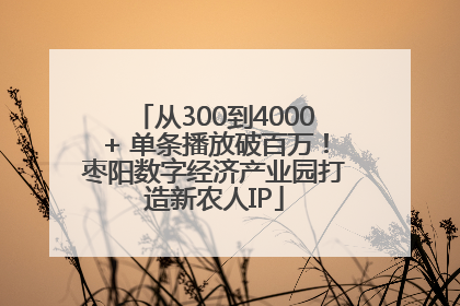 从300到4000+ 单条播放破百万！枣阳数字经济产业园打造新农人IP