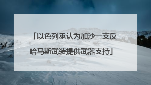 以色列承认为加沙一支反哈马斯武装提供武器支持
