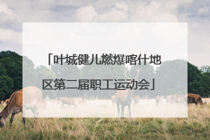叶城健儿燃爆喀什地区第二届职工运动会