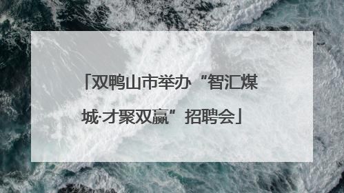 双鸭山市举办“智汇煤城·才聚双赢”招聘会