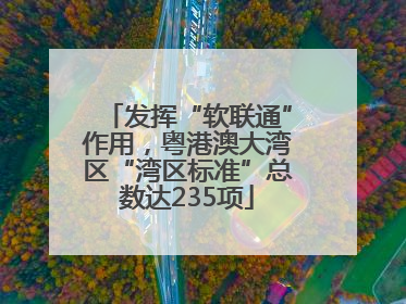 发挥“软联通”作用，粤港澳大湾区“湾区标准”总数达235项