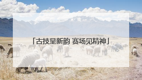 古技呈新韵 赛场见精神