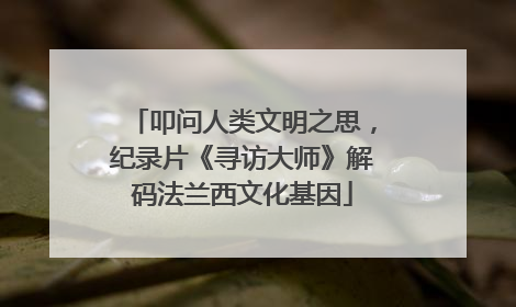 叩问人类文明之思，纪录片《寻访大师》解码法兰西文化基因
