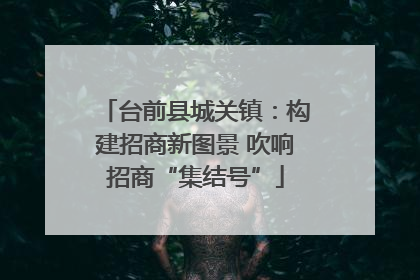 台前县城关镇：构建招商新图景 吹响招商“集结号”