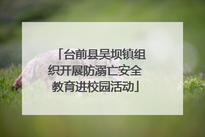 台前县吴坝镇组织开展防溺亡安全教育进校园活动