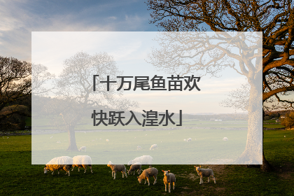 十万尾鱼苗欢快跃入湟水