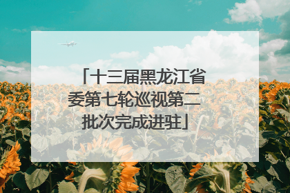 十三届黑龙江省委第七轮巡视第二批次完成进驻