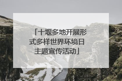 十堰多地开展形式多样世界环境日主题宣传活动