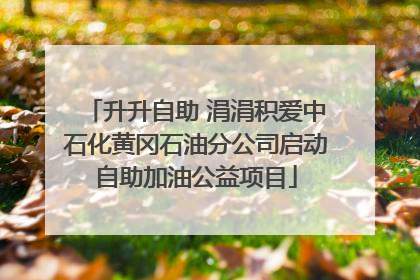 升升自助 涓涓积爱中石化黄冈石油分公司启动自助加油公益项目