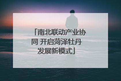 南北联动产业协同 开启菏泽牡丹发展新模式