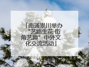 南通崇川举办“艺路生花·街角艺趣”中外文化交流活动