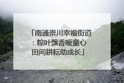 南通崇川幸福街道：粽叶飘香暖童心 田间耕耘助成长