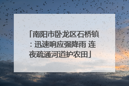 南阳市卧龙区石桥镇：迅速响应强降雨 连夜疏通河道护农田