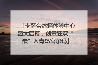 卡萨帝冰箱体验中心盛大启幕，创意狂欢“嵌”入青岛富尔玛