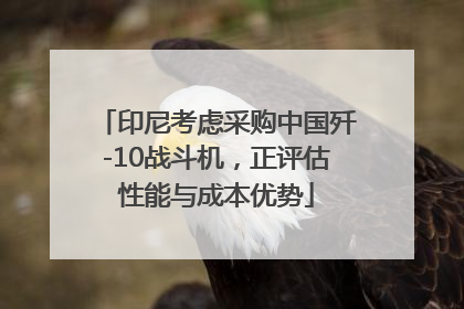 印尼考虑采购中国歼-10战斗机，正评估性能与成本优势