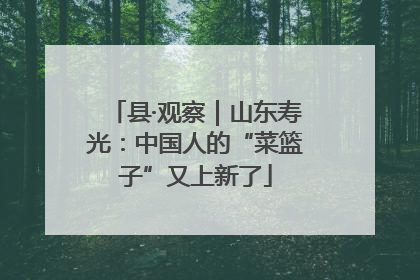 县·观察｜山东寿光：中国人的“菜篮子”又上新了