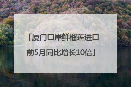厦门口岸鲜榴莲进口 前5月同比增长10倍