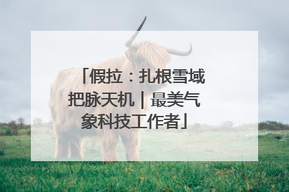 假拉：扎根雪域把脉天机｜最美气象科技工作者