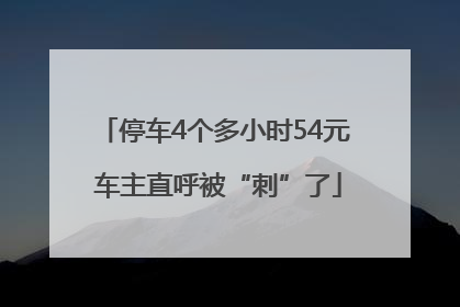 停车4个多小时54元 车主直呼被“刺”了
