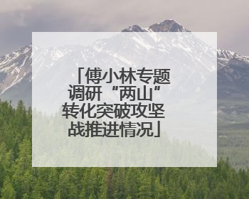 傅小林专题调研“两山”转化突破攻坚战推进情况