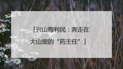 兴山梅利民：奔走在大山里的“药主任”