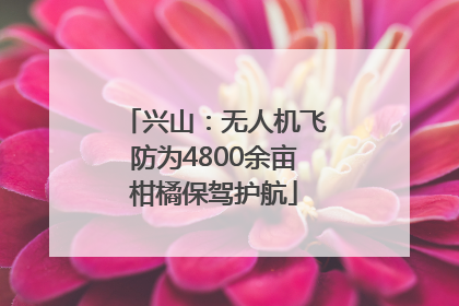 兴山：无人机飞防为4800余亩柑橘保驾护航