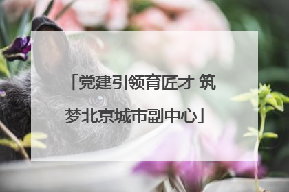 党建引领育匠才 筑梦北京城市副中心