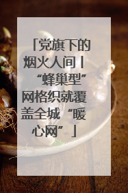党旗下的烟火人间丨“蜂巢型”网格织就覆盖全城“暖心网”