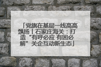 党旗在基层一线高高飘扬丨石家庄海关：打造“有呼必应 有困必解”关企互动新生态