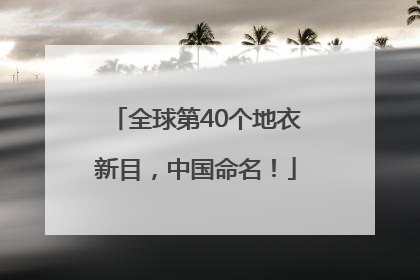 全球第40个地衣新目，中国命名！