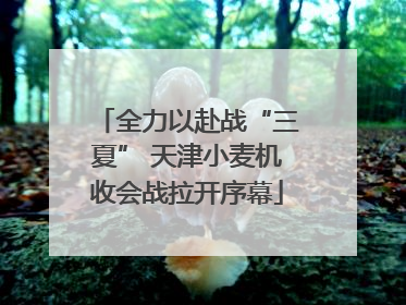 全力以赴战“三夏” 天津小麦机收会战拉开序幕