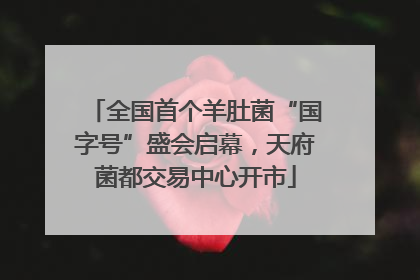 全国首个羊肚菌“国字号”盛会启幕，天府菌都交易中心开市