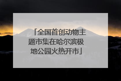 全国首创动物主题市集在哈尔滨极地公园火热开市
