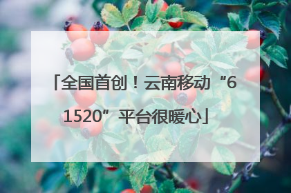 全国首创！云南移动“61520”平台很暖心