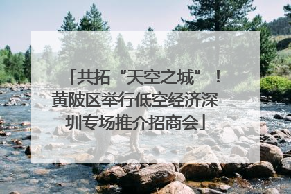 共拓“天空之城”！黄陂区举行低空经济深圳专场推介招商会