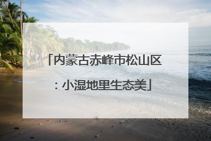 内蒙古赤峰市松山区：小湿地里生态美