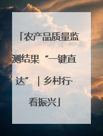 农产品质量监测结果“一键直达”｜乡村行·看振兴
