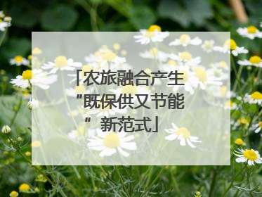 农旅融合产生“既保供又节能”新范式
