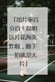 出片率百分百！昆明这片花海美炸啦，随手一拍就是大片