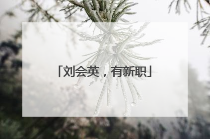 刘会英，有新职