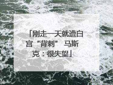 刚走一天就遭白宫“背刺” 马斯克：很失望