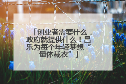 创业者需要什么，政府就提供什么！昌乐为每个年轻梦想“量体裁衣”