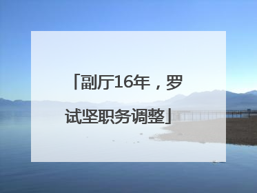 副厅16年，罗试坚职务调整