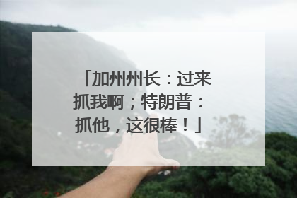 加州州长：过来抓我啊；特朗普：抓他，这很棒！
