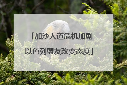加沙人道危机加剧 以色列盟友改变态度
